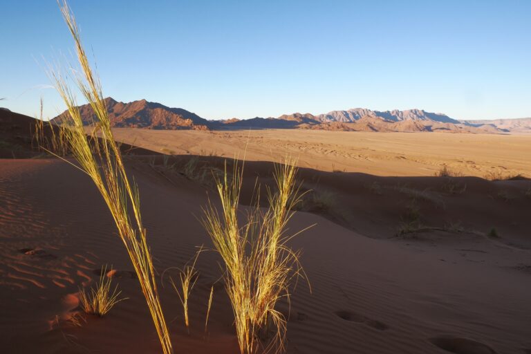 Namibia